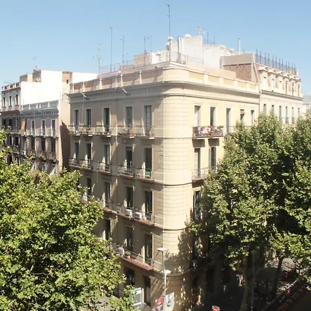 سوم نيت تريومف برشلونة