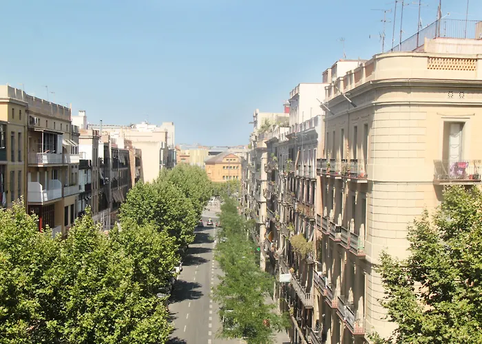 Gasthuis Som Nit Triomf 3*