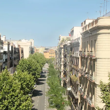 Guest house Som Nit Triomf 3*